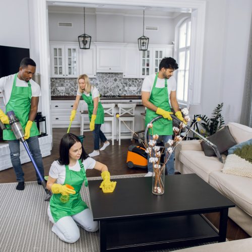 Male and female cleaners in green apron and gloves using modern tools for cleaning bright apartment. Team on mixed race people tidying up customer house.